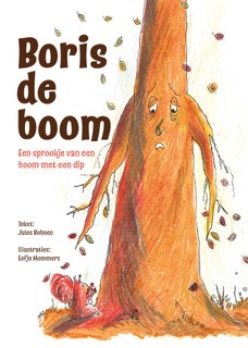Omslag van Boris de Boom