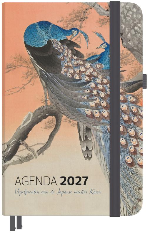 Omslag van Agenda 2027