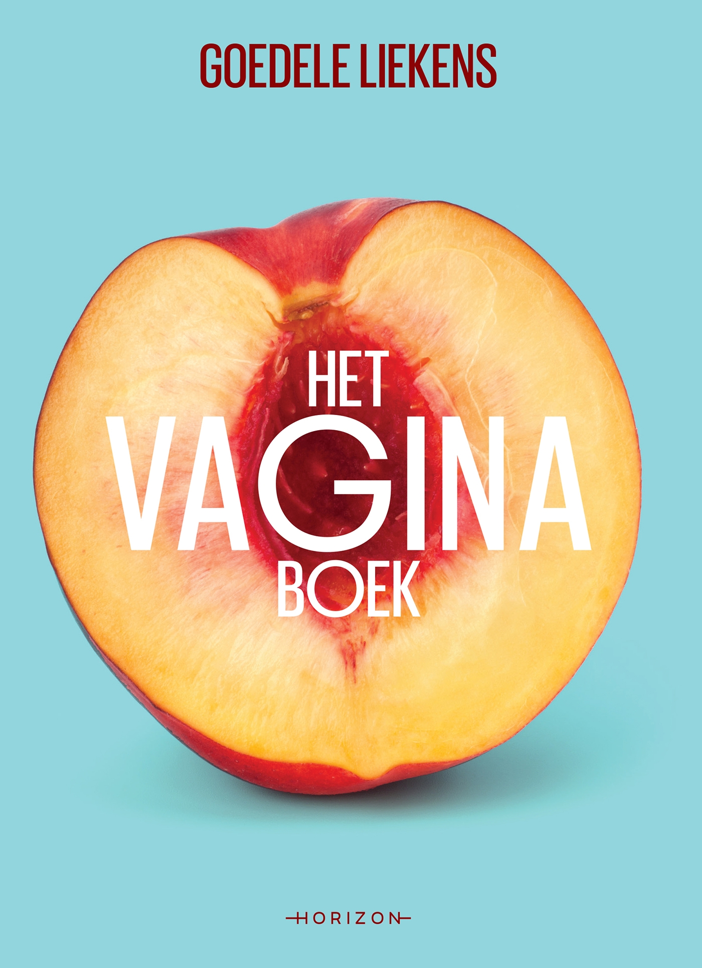 Omslag van Het vaginaboek