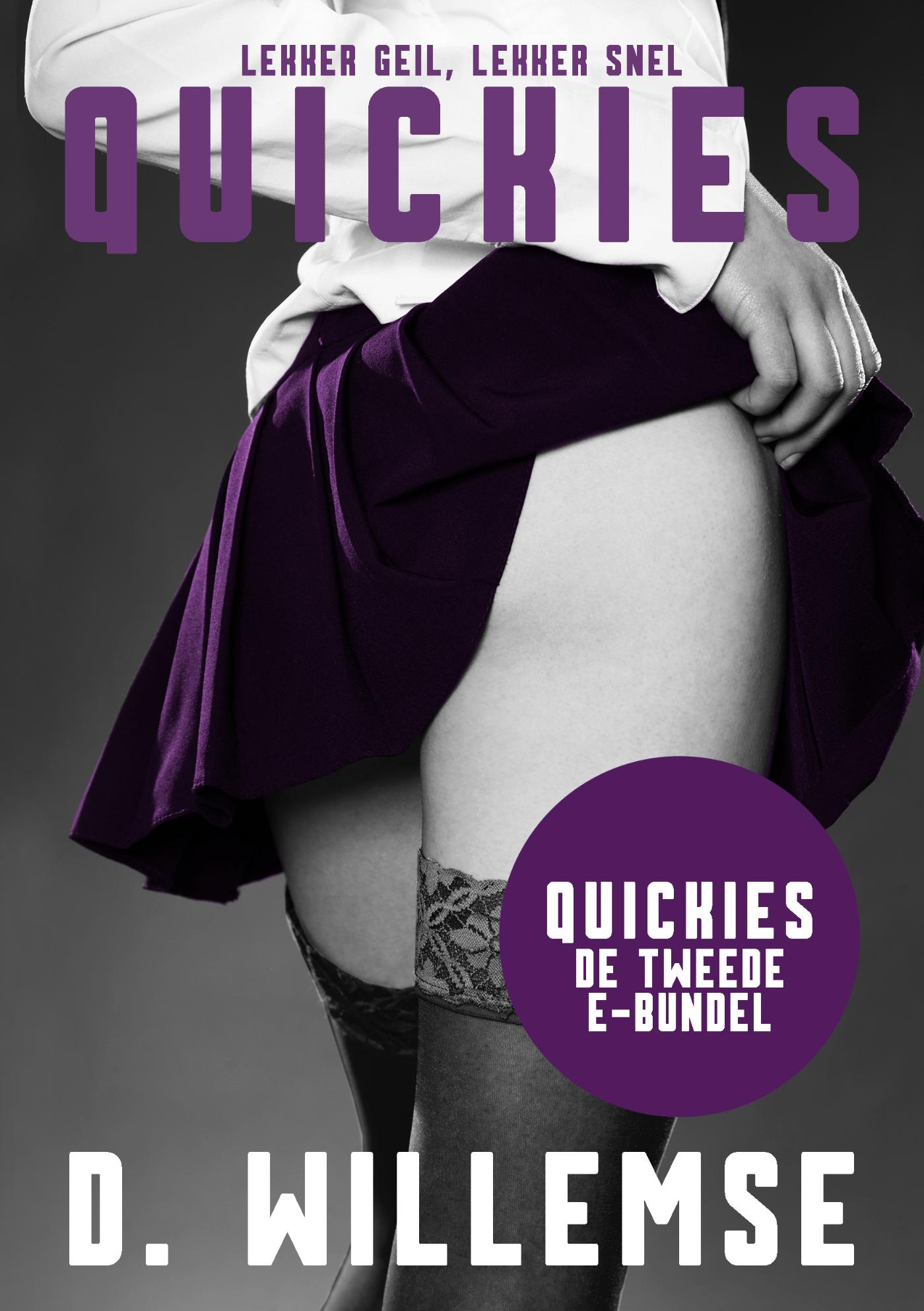 Omslag van Quickies: De Tweede E-bundel