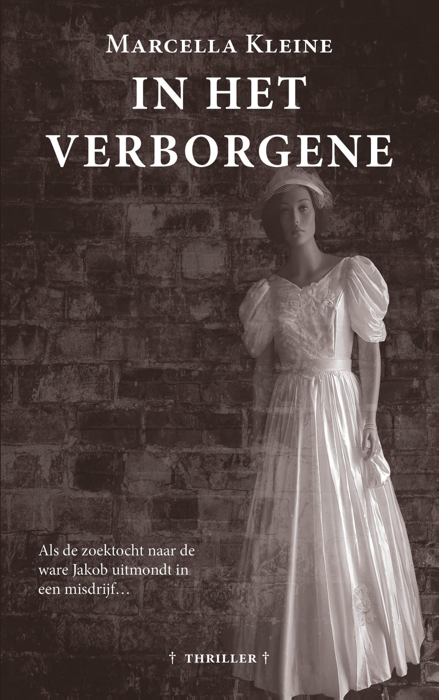 Omslag van In het verborgene