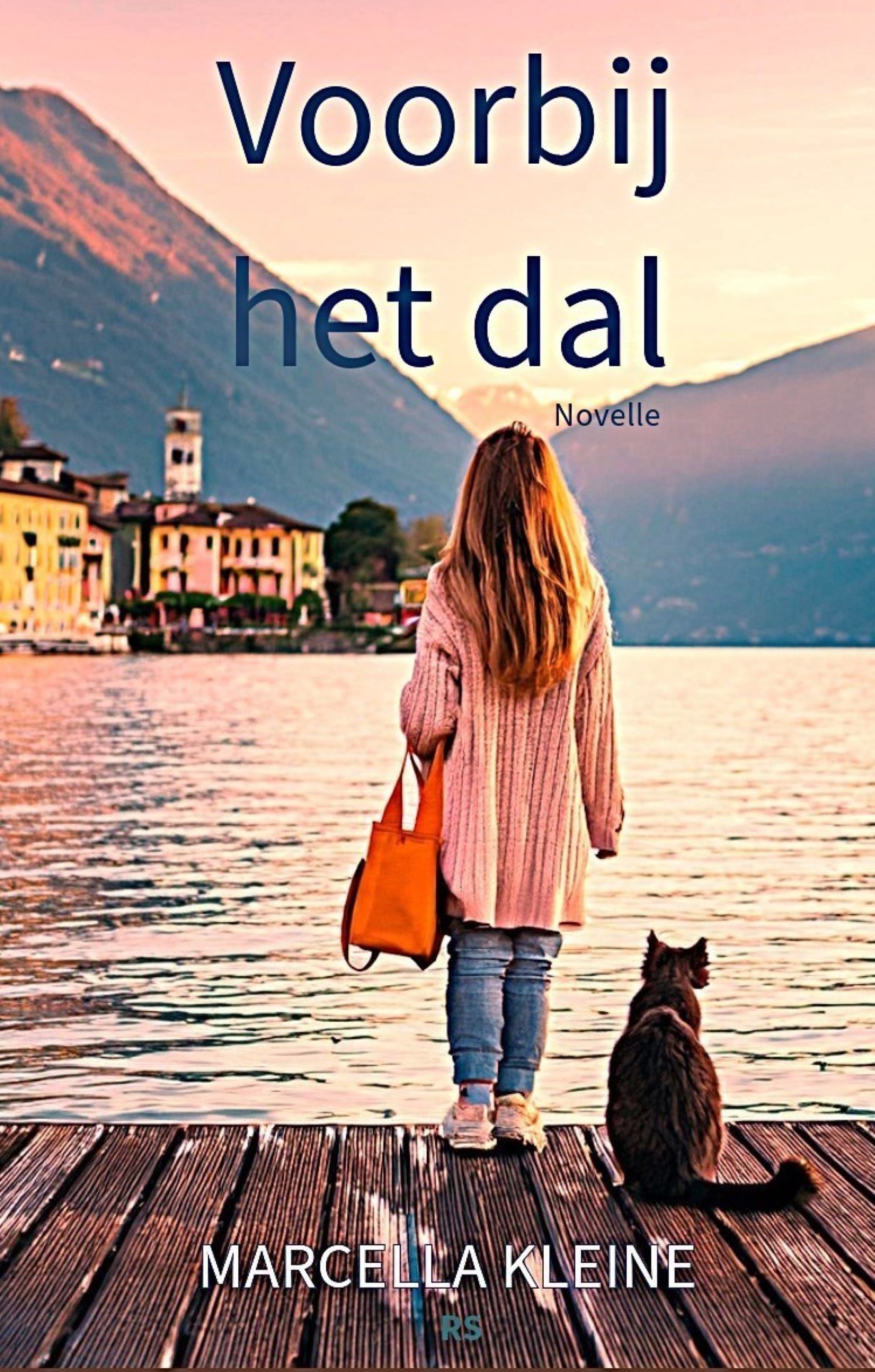 Omslag van Voorbij het dal