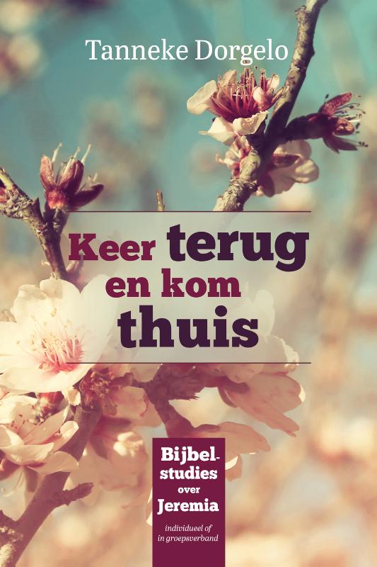 Omslag van Keer terug en kom thuis