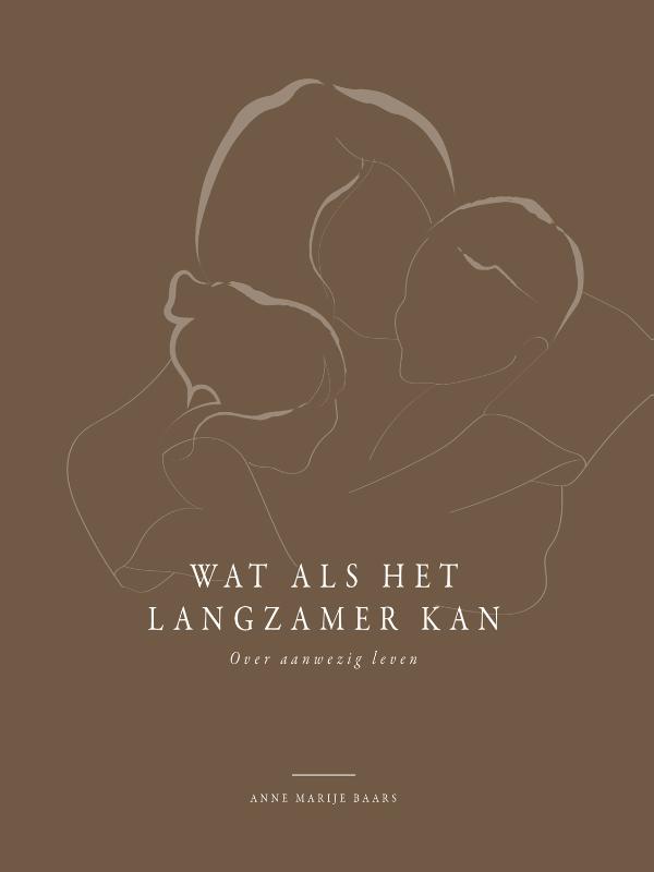 Omslag van Wat als het langzamer kan