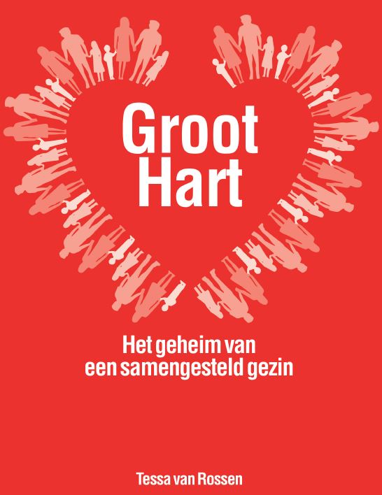 Omslag van Groot hart - het geheim van een samengesteld gezin