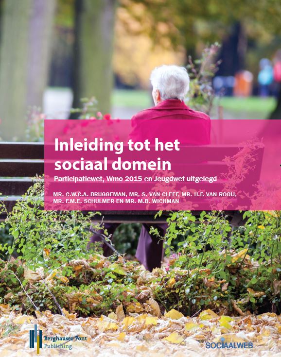 Omslag van Inleiding tot het sociaal domein