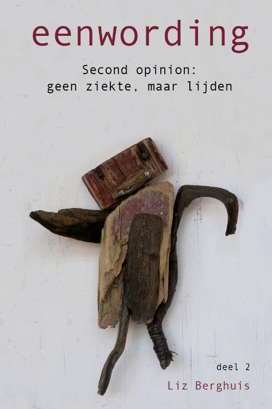 Omslag van eenwording