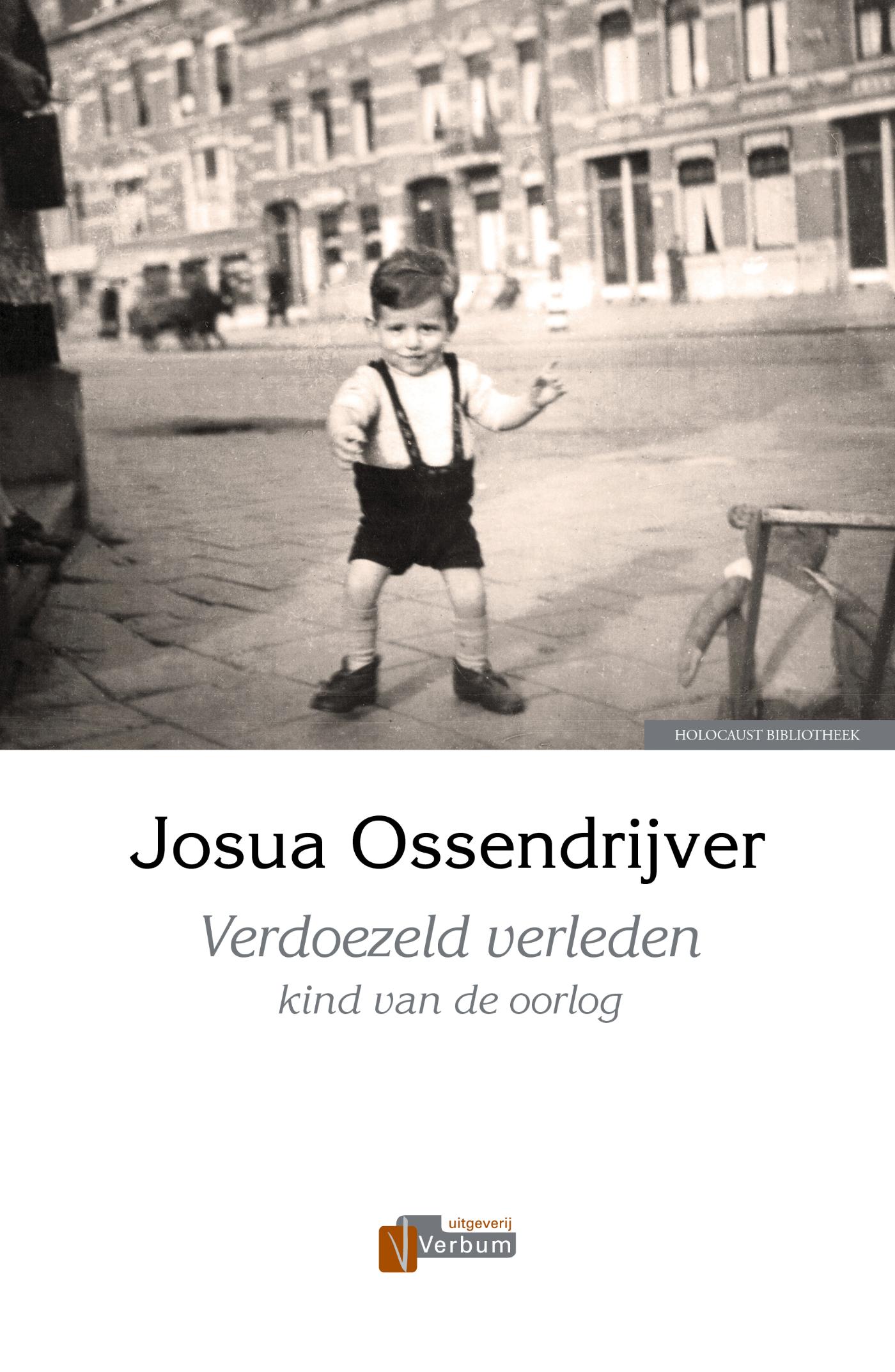 Omslag van Verdoezeld verleden