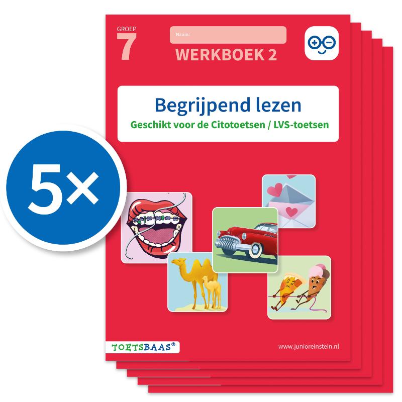 Omslag van Begrijpend lezen werkboek 2 (Set van 5)