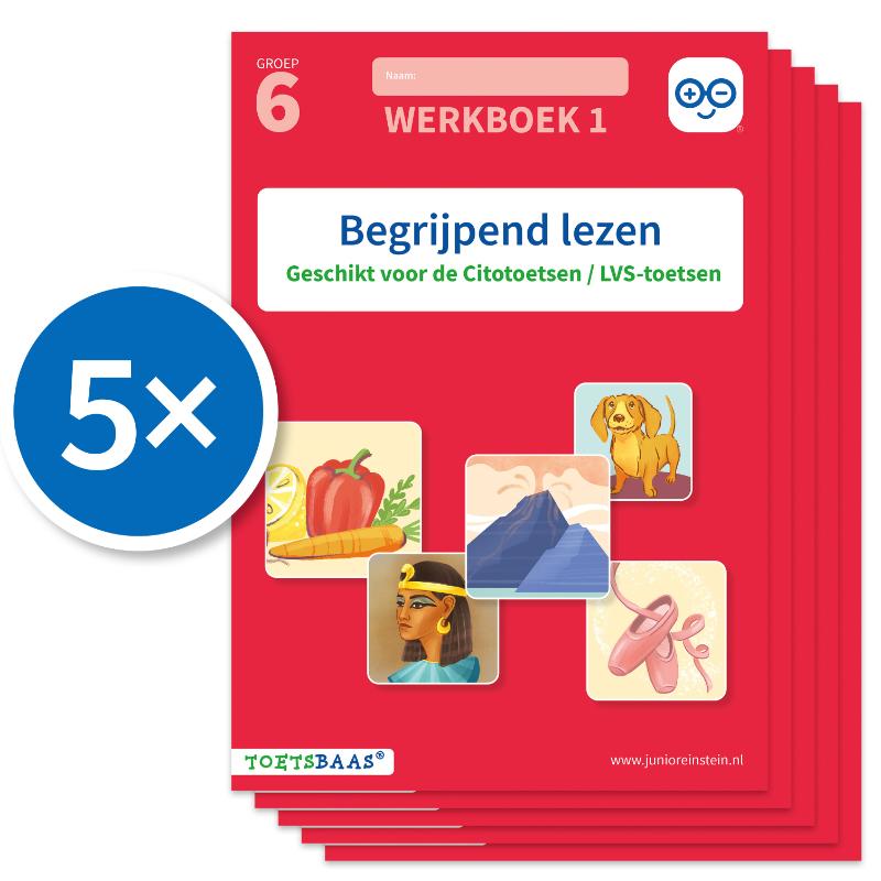 Omslag van Begrijpend lezen werkboek 1 (Set van 5)