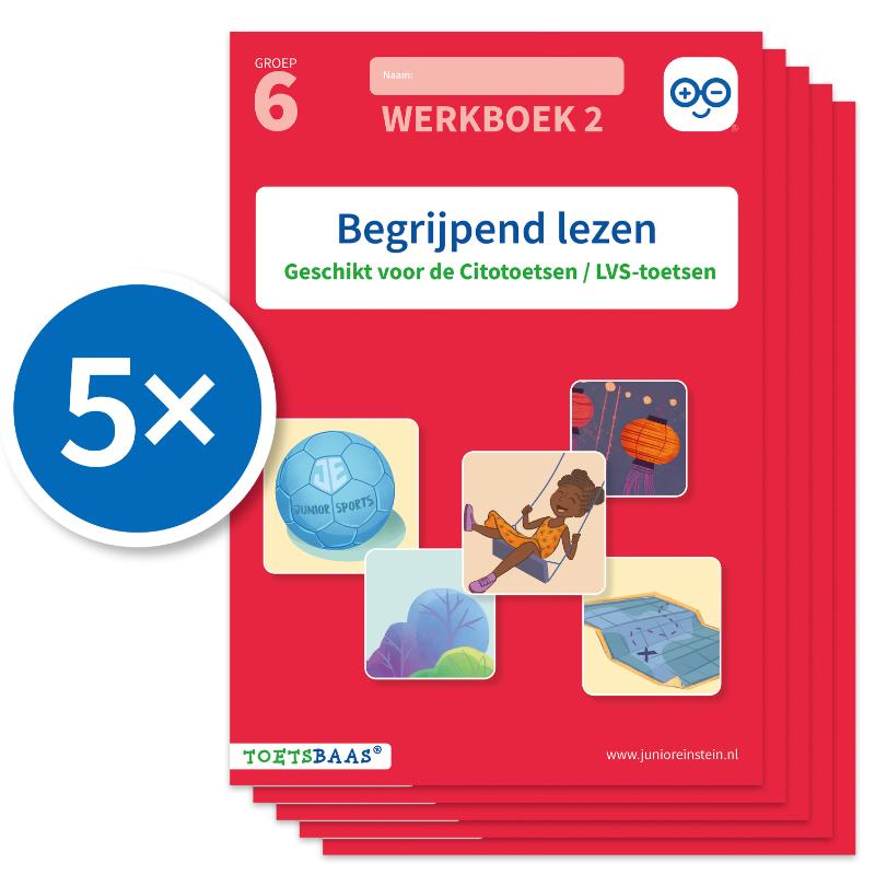 Omslag van Begrijpend lezen werkboek 2 (Set van 5)