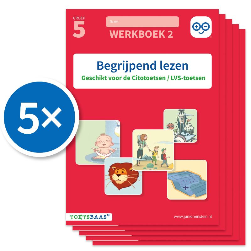 Omslag van Begrijpend lezen werkboek 2 (Set van 5)