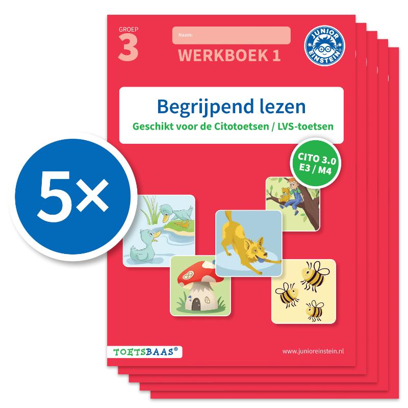 Omslag van Begrijpend lezen werkboek 1 (Set van 5)