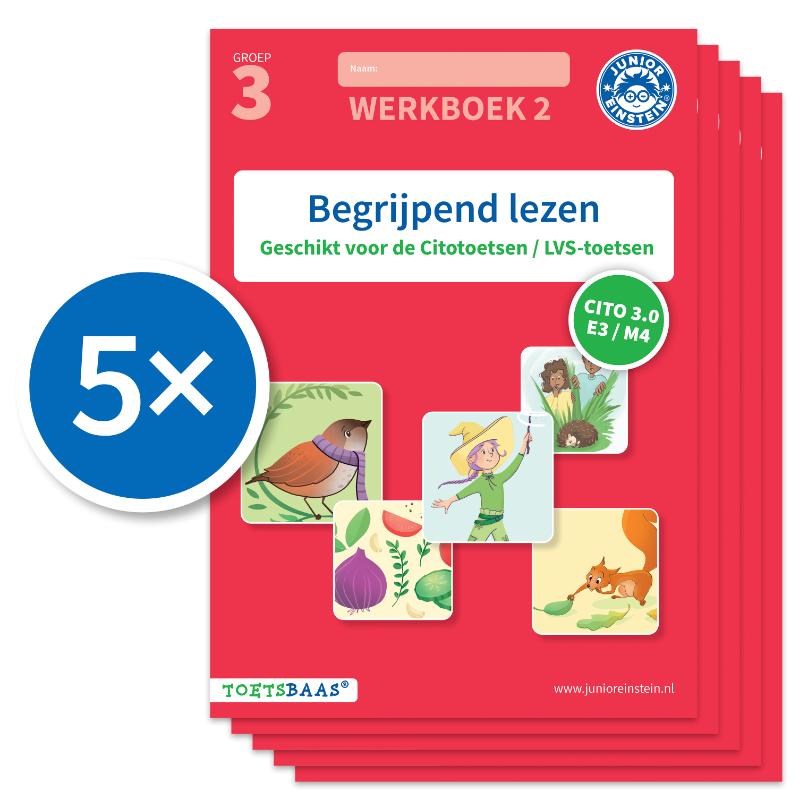 Omslag van Begrijpend lezen werkboek 2 (Set van 5)
