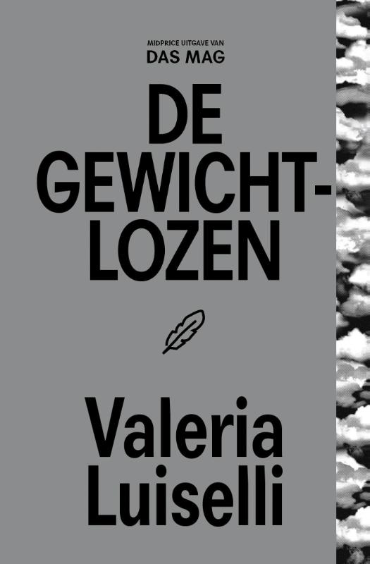 Omslag van De gewichtlozen