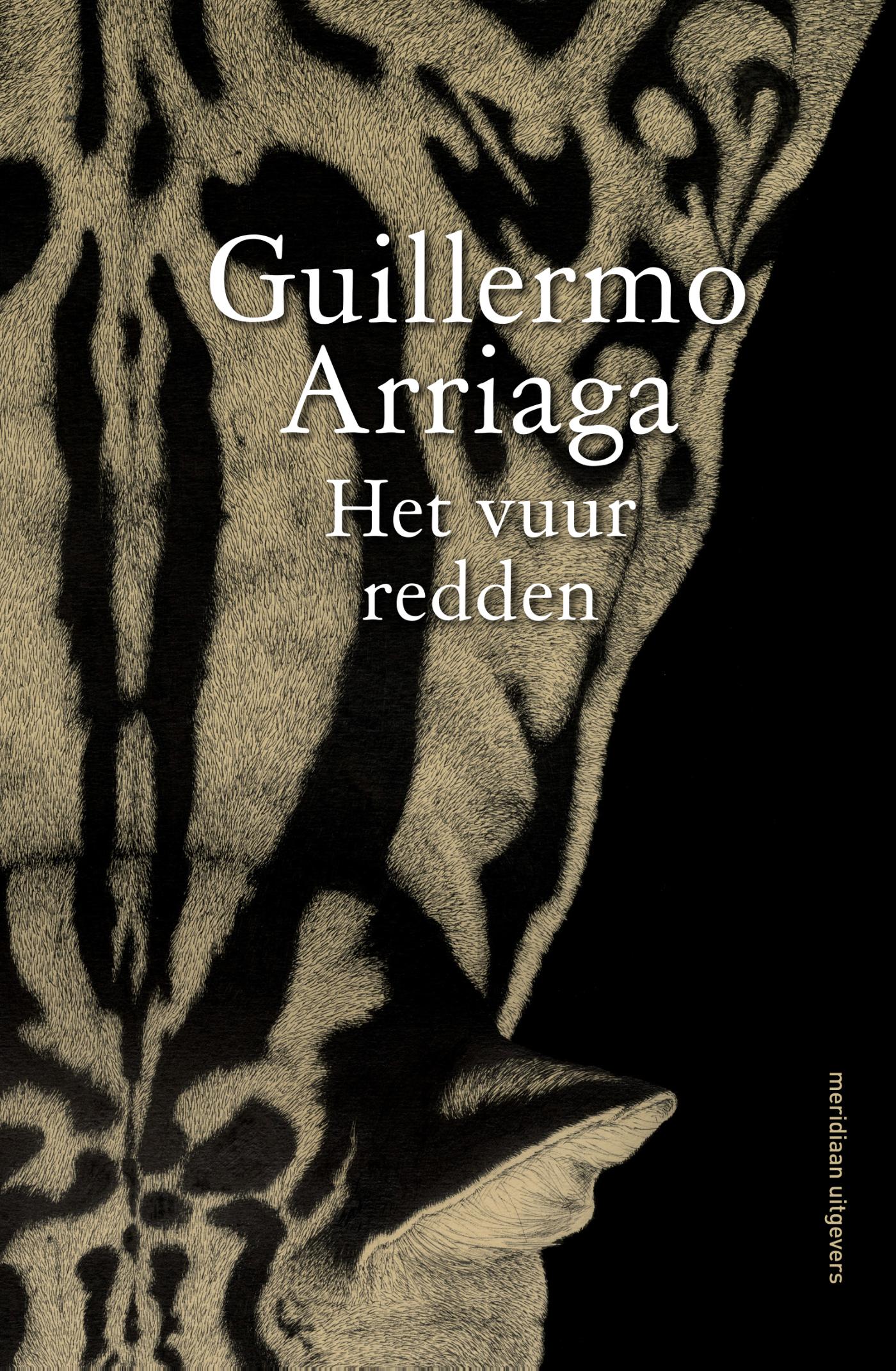 Omslag van Het vuur redden