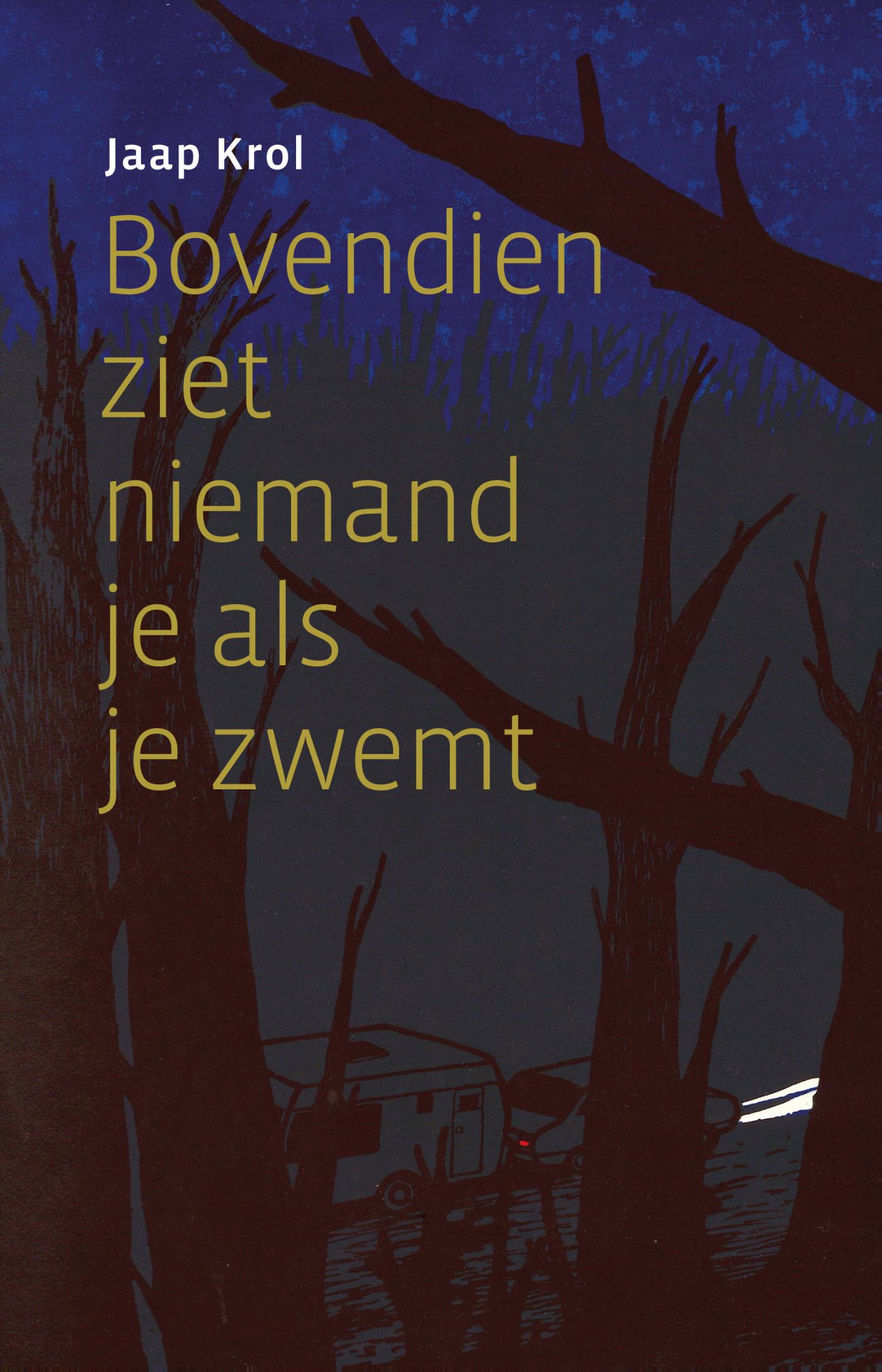 Omslag van Bovendien ziet niemand je als je zwemt