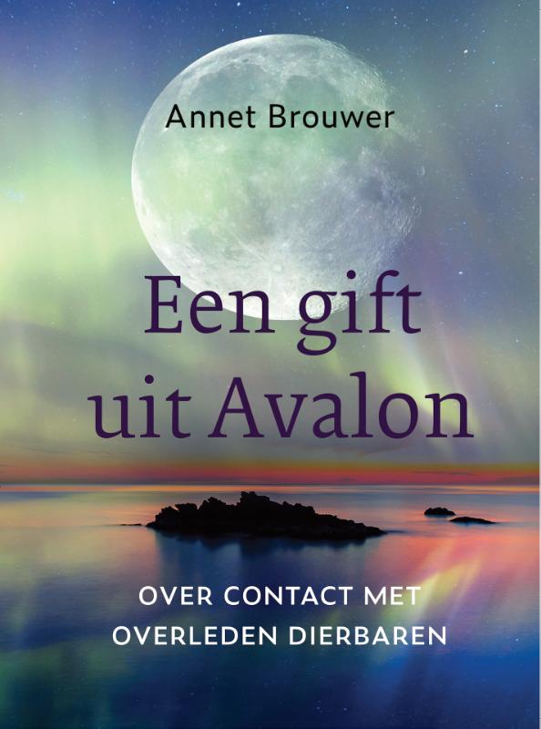 Omslag van Een gift uit Avalon