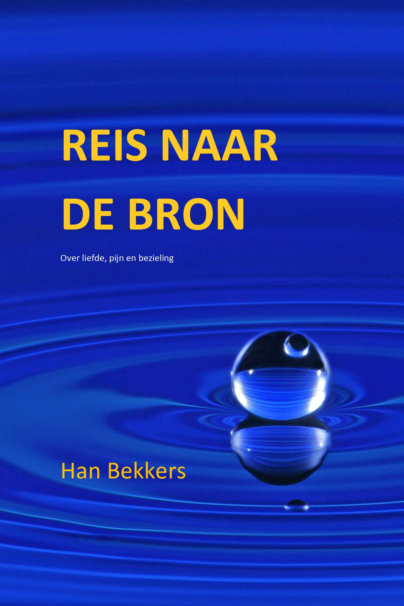 Omslag van Reis naar de bron