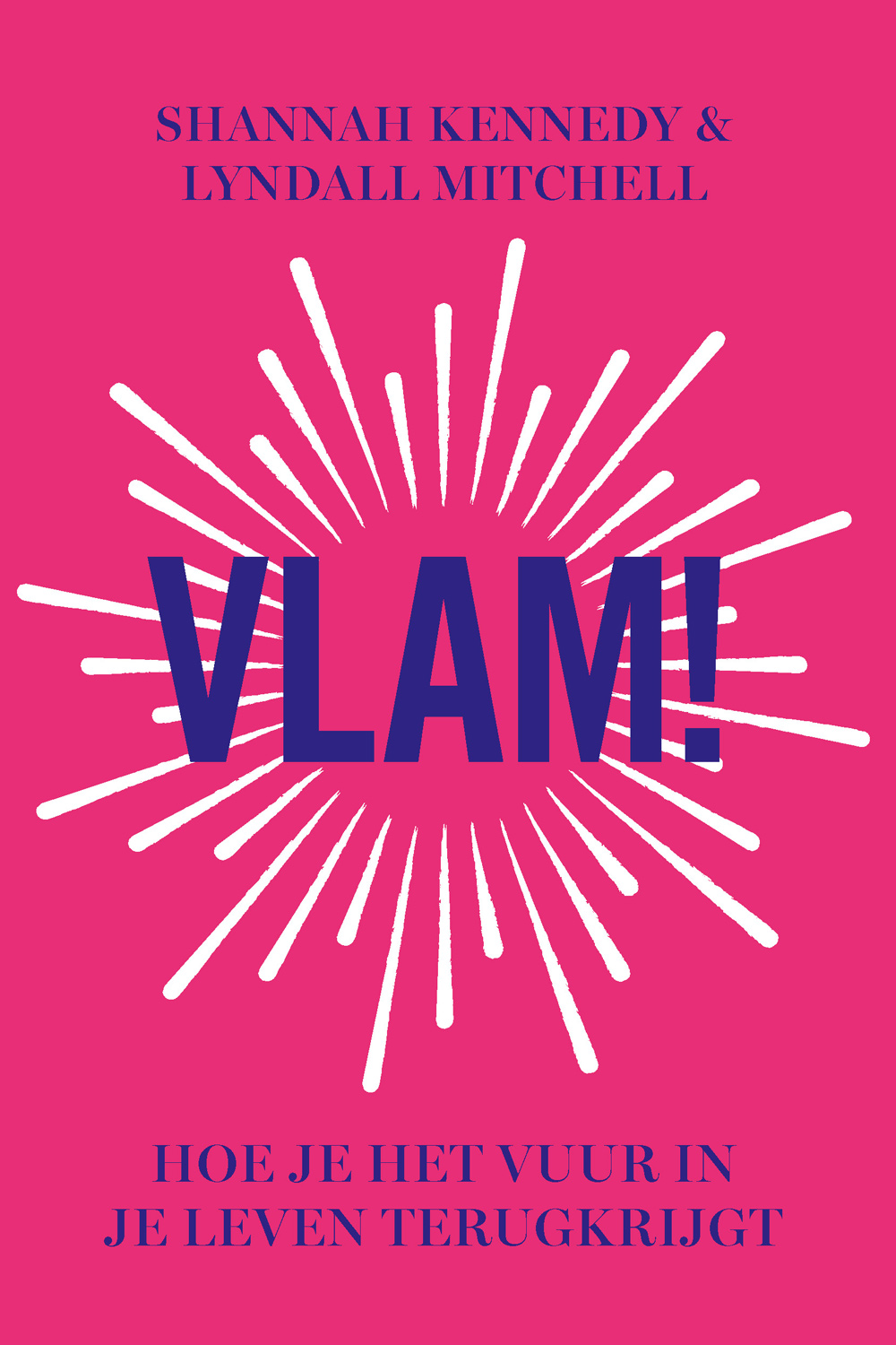 Omslag van Vlam!