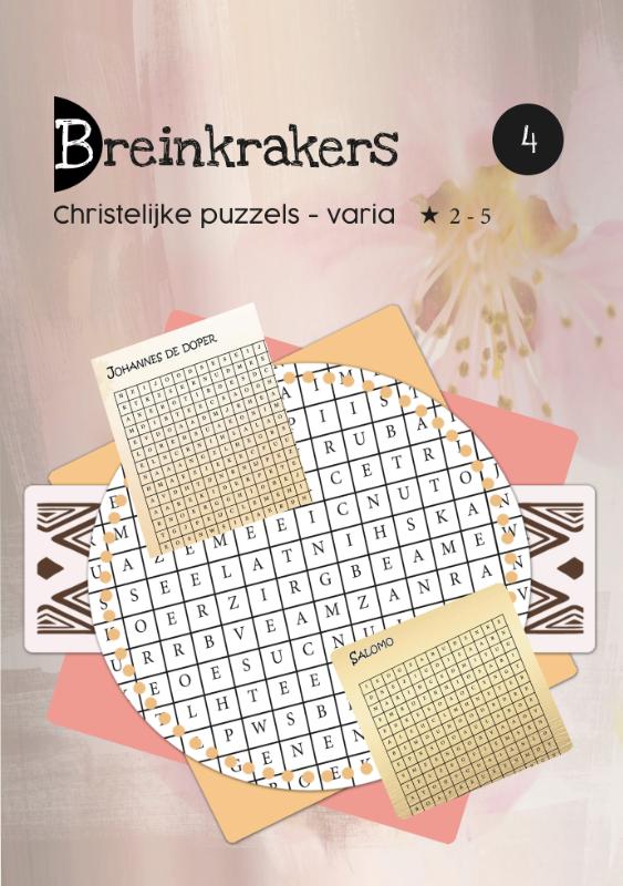 Omslag van Breinkrakers 4