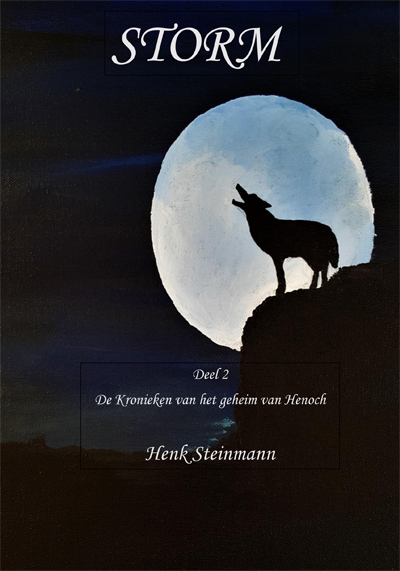 Omslag van Storm