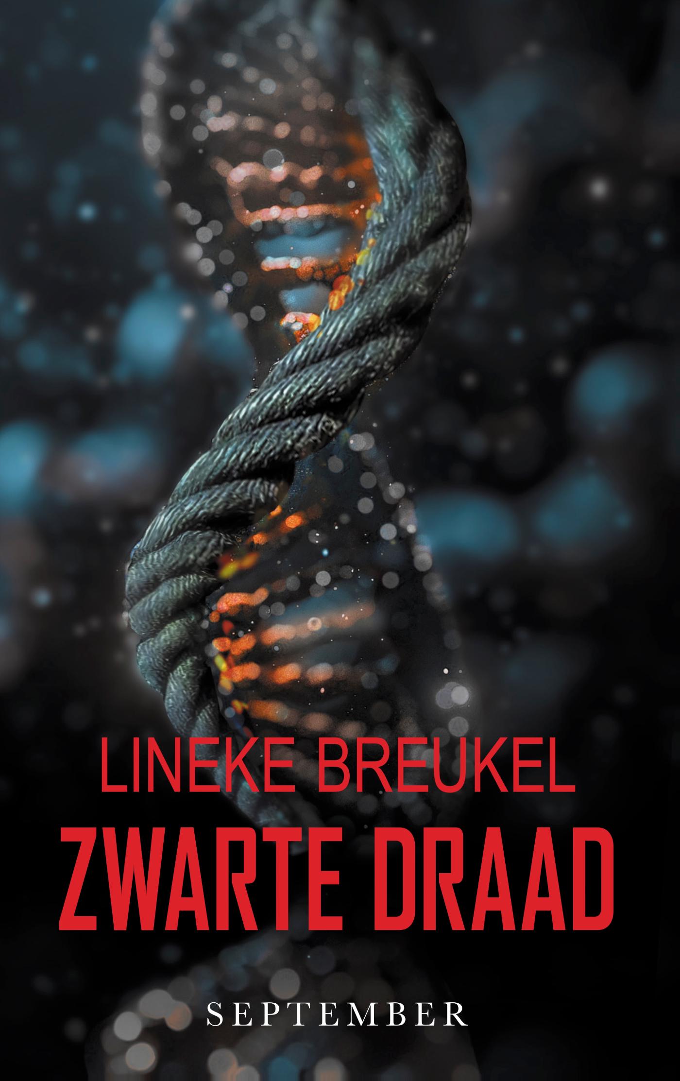 Omslag van Zwarte draad