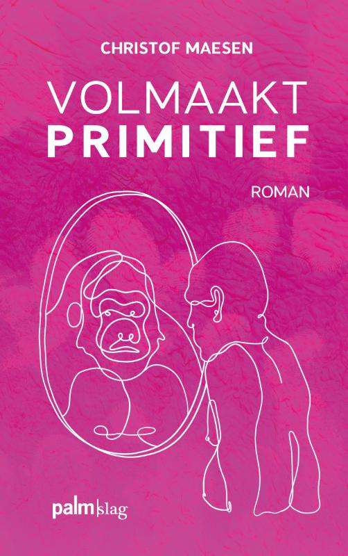 Omslag van Volmaakt primitief