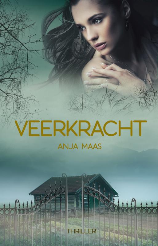 Omslag van Veerkracht