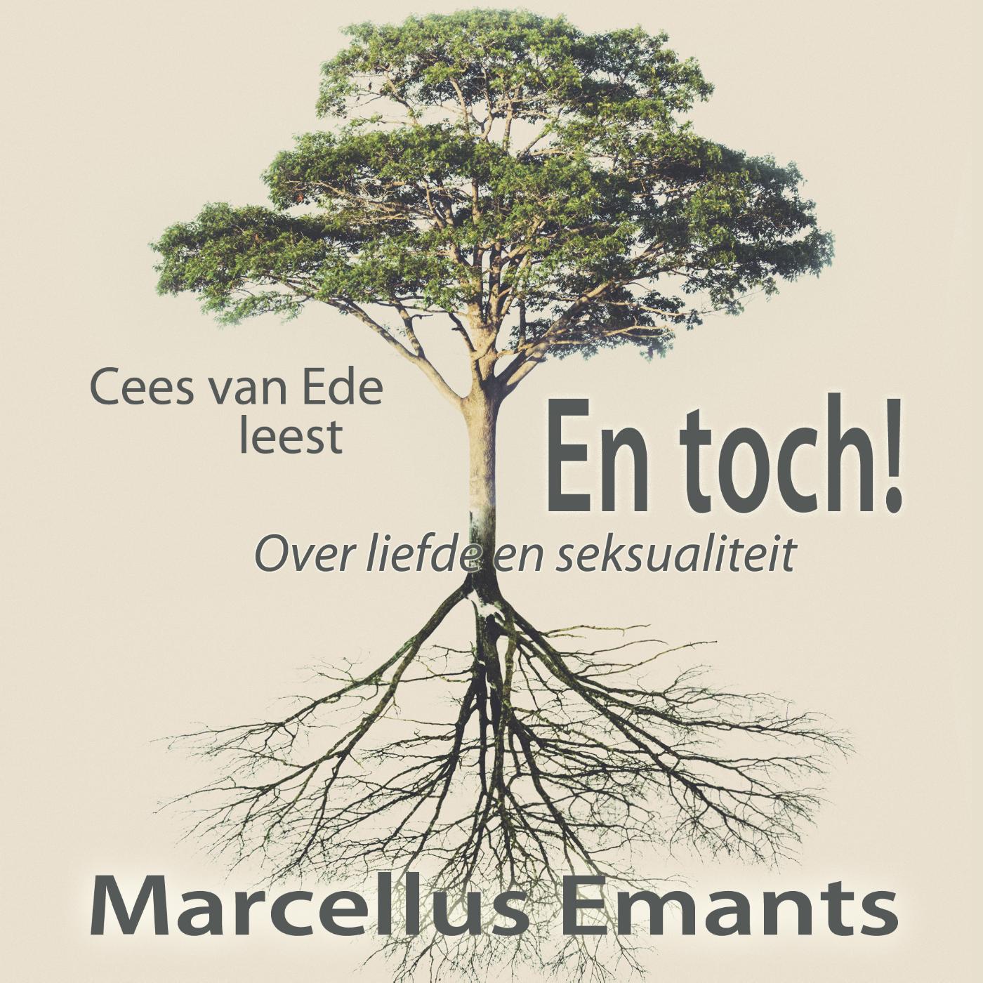 Omslag van En toch!