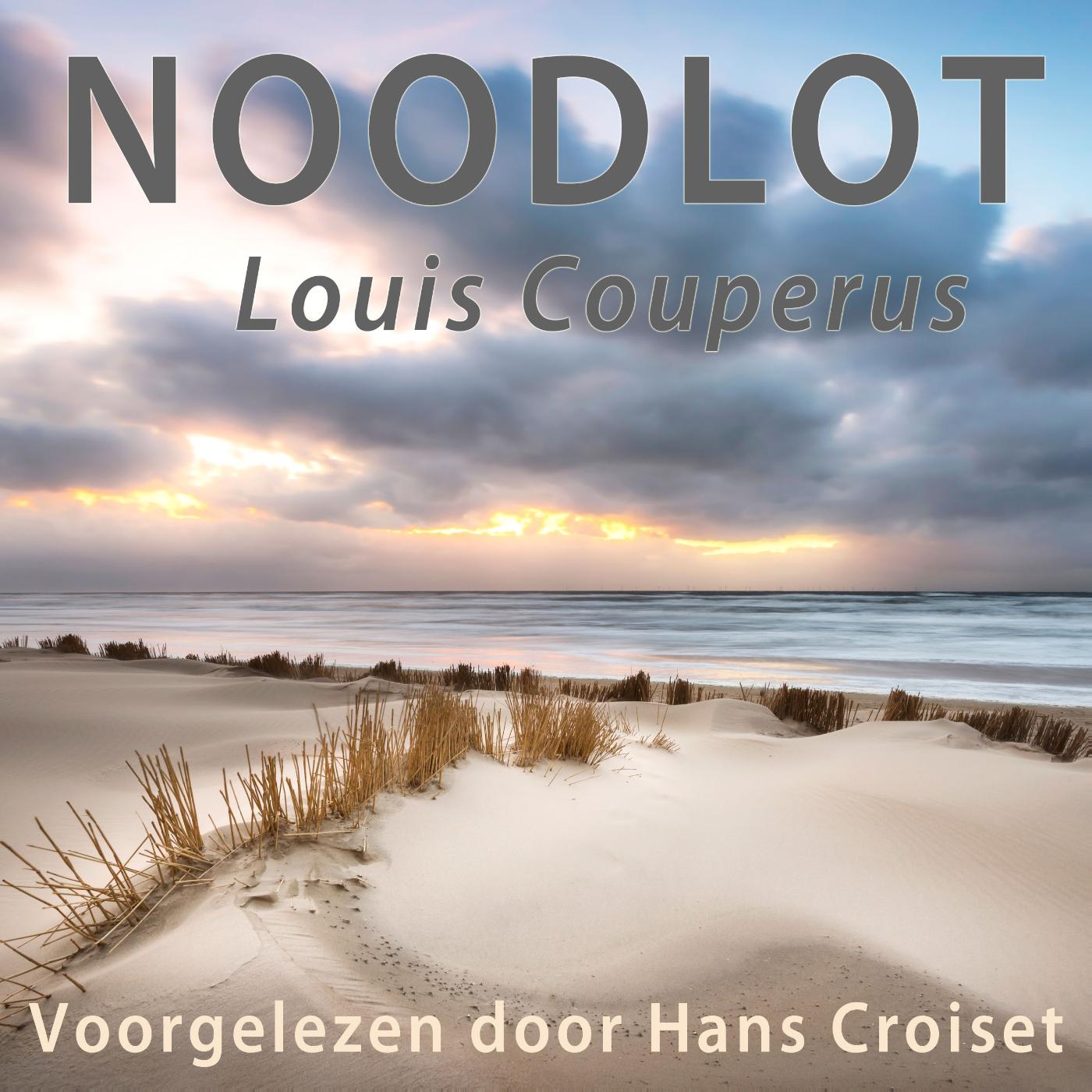 Omslag van Noodlot