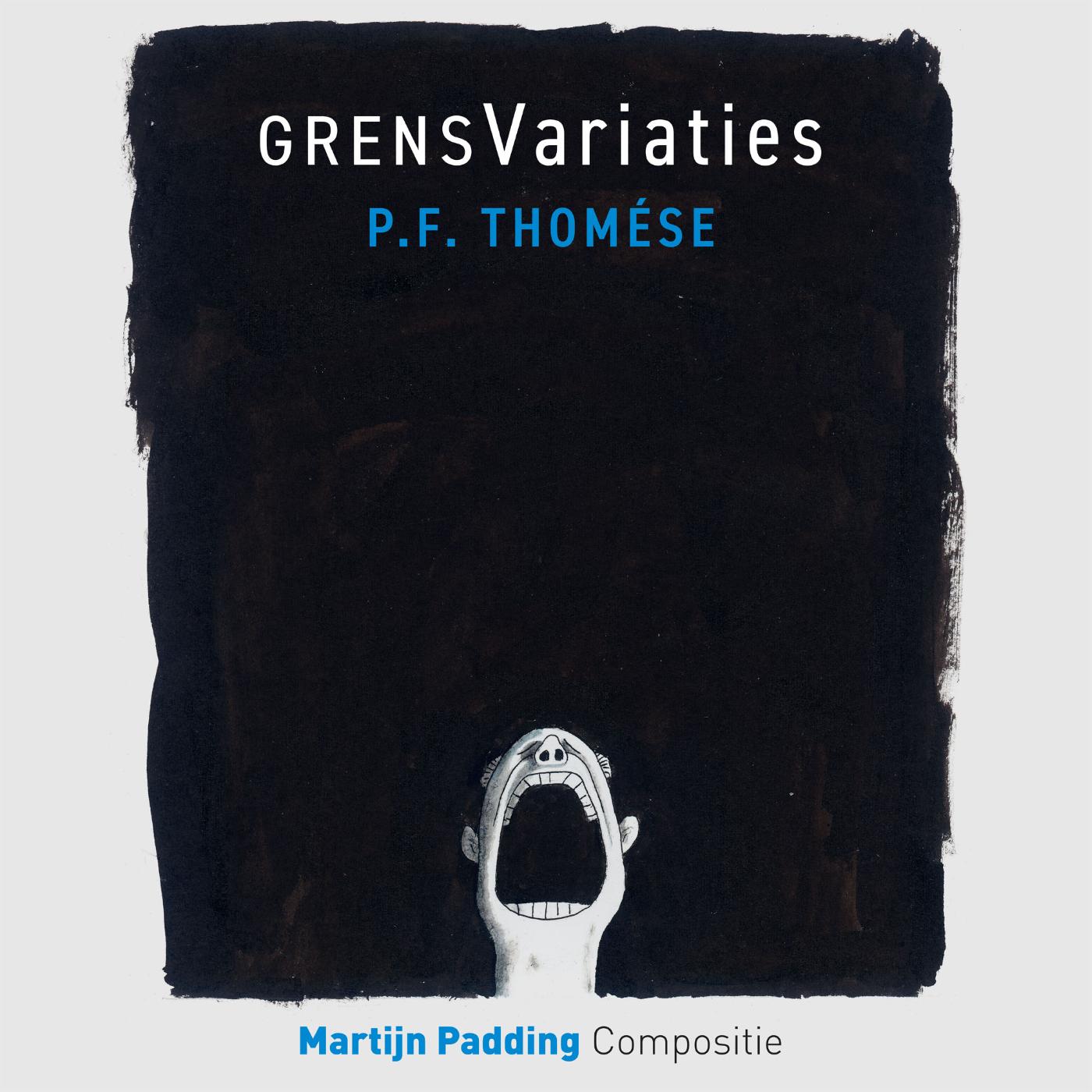 Omslag van Grensvariaties