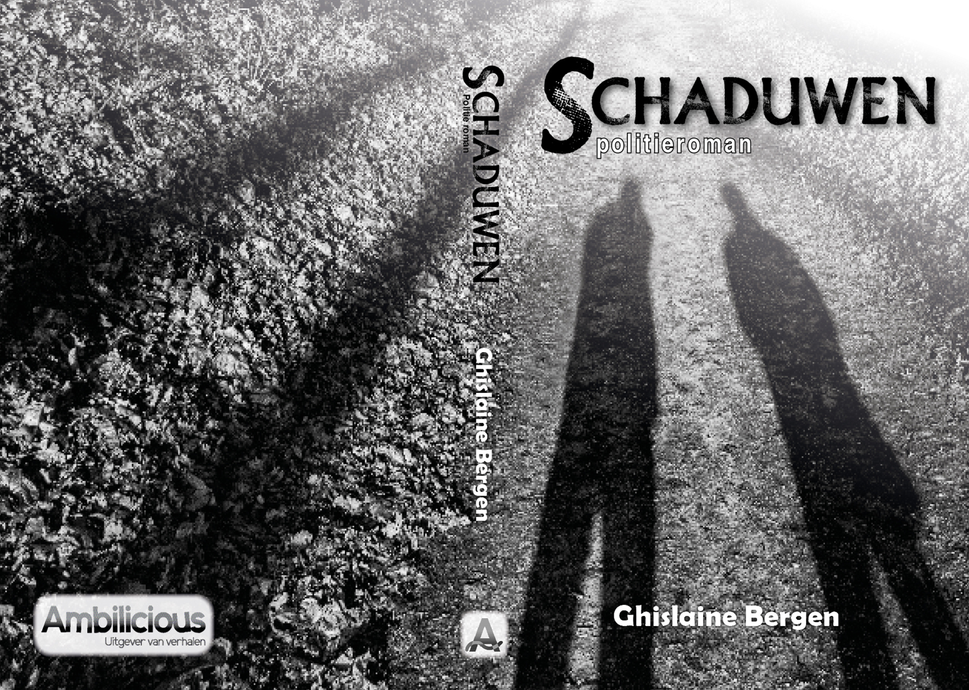 Omslag van Schaduwen
