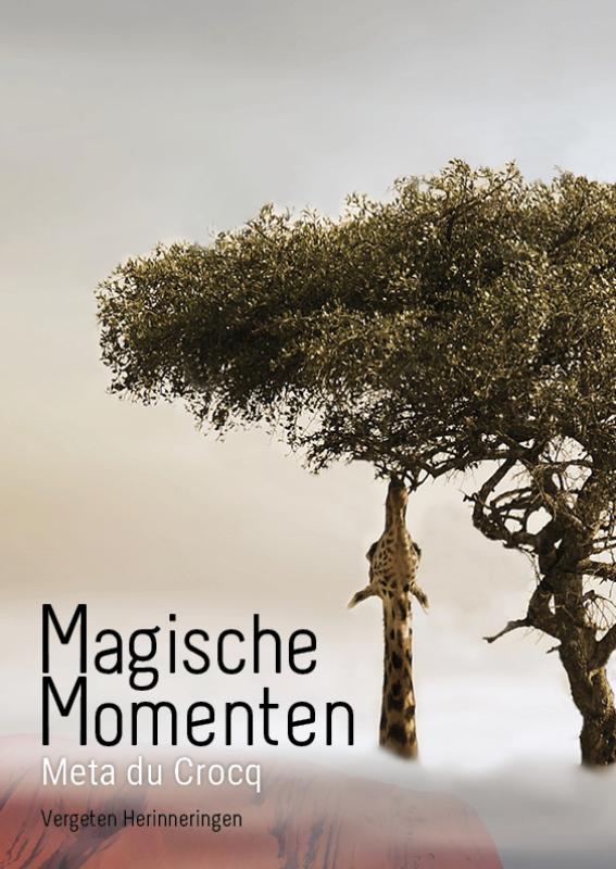 Omslag van Magische momenten