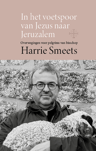 Omslag van In het voetspoor van Jezus naar Jeruzalem