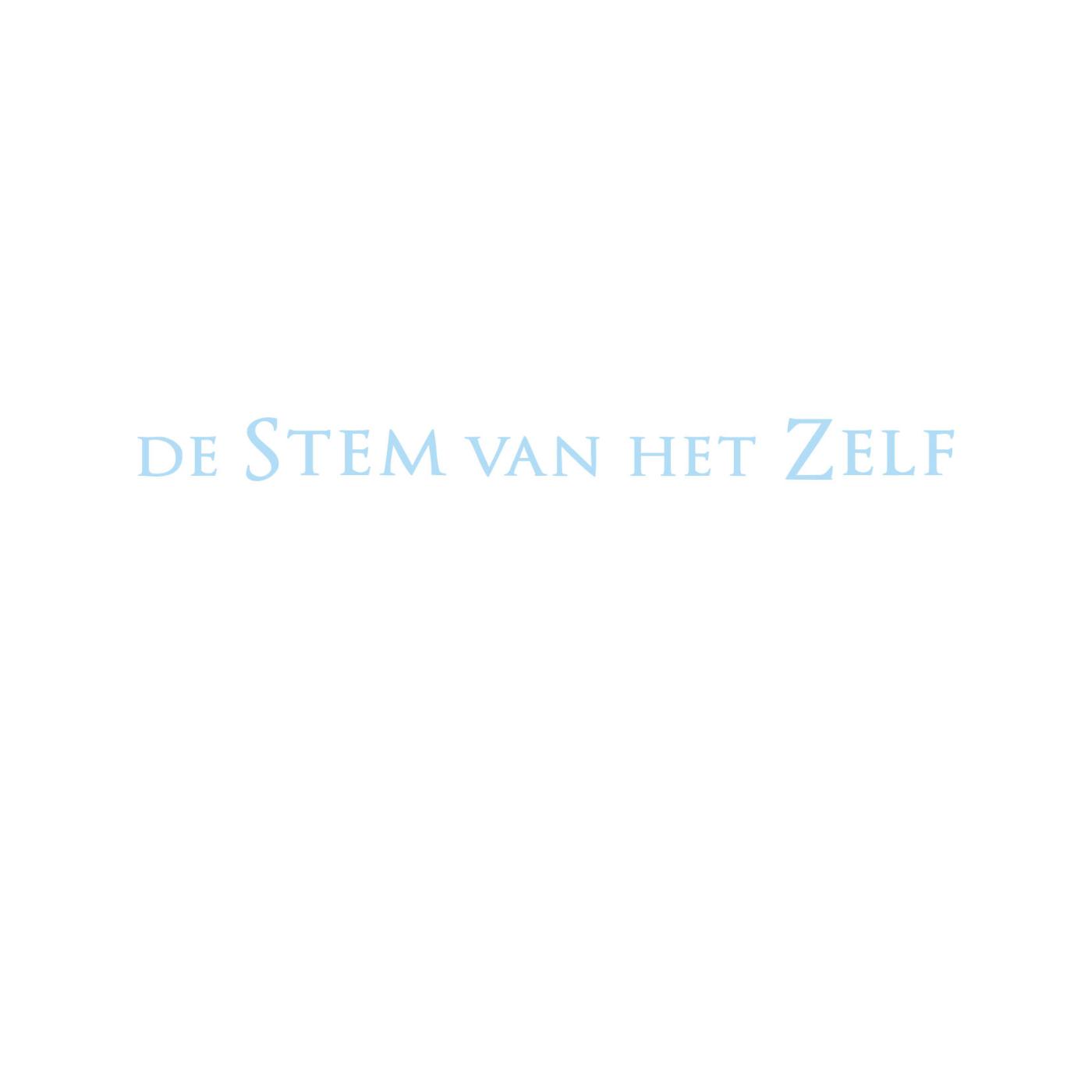 Omslag van De stem van het Zelf