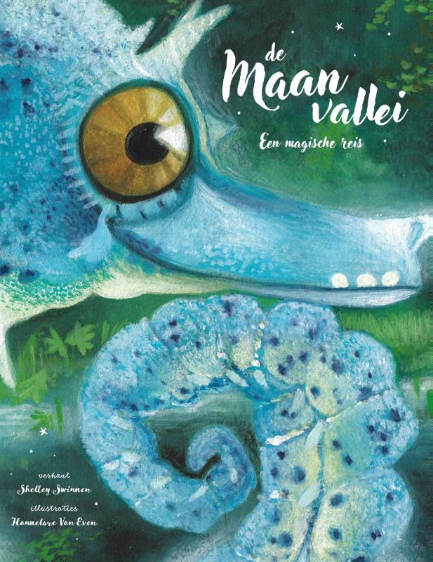 Omslag van De maanvallei