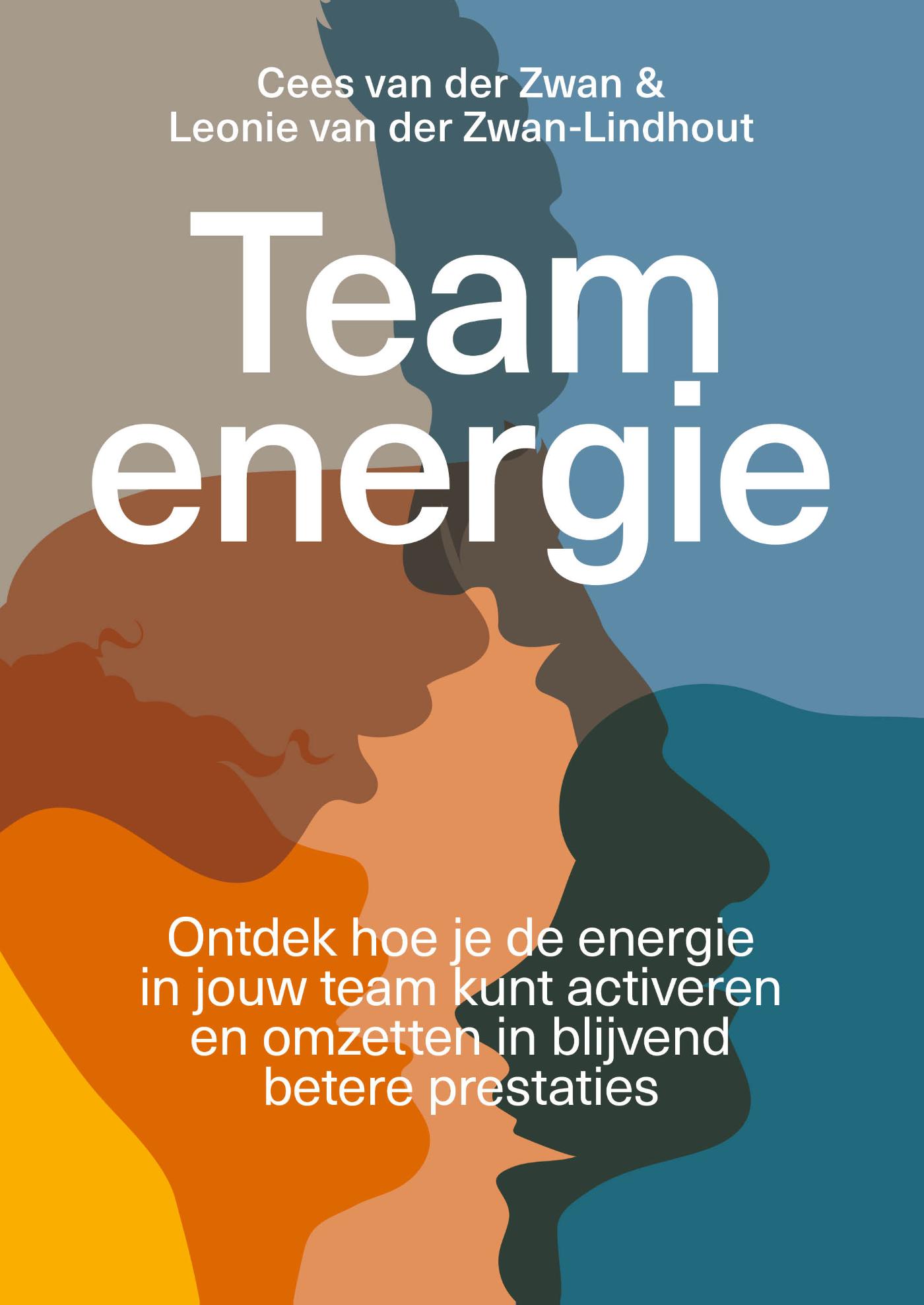 Omslag van Teamenergie