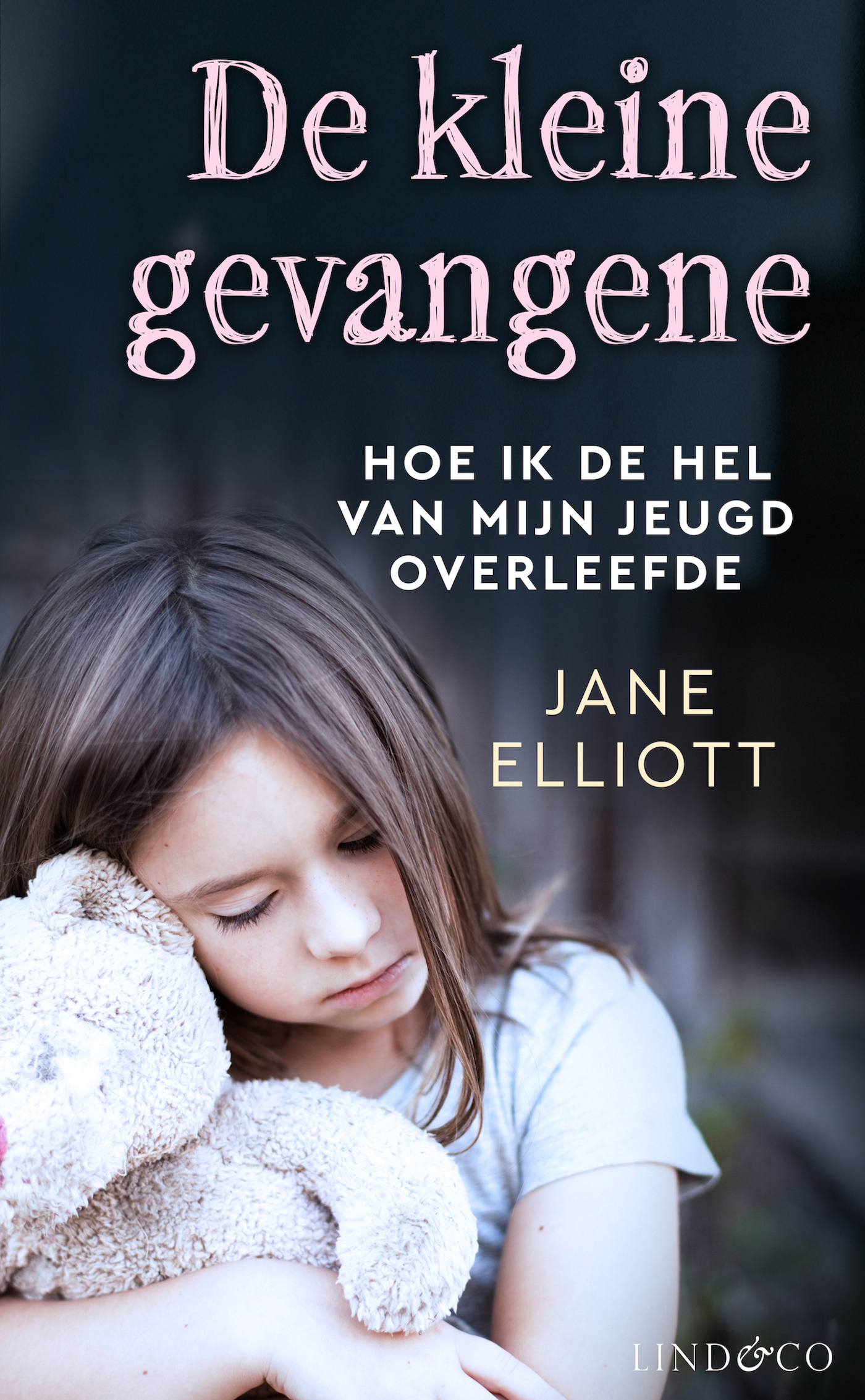 Omslag van De kleine gevangene