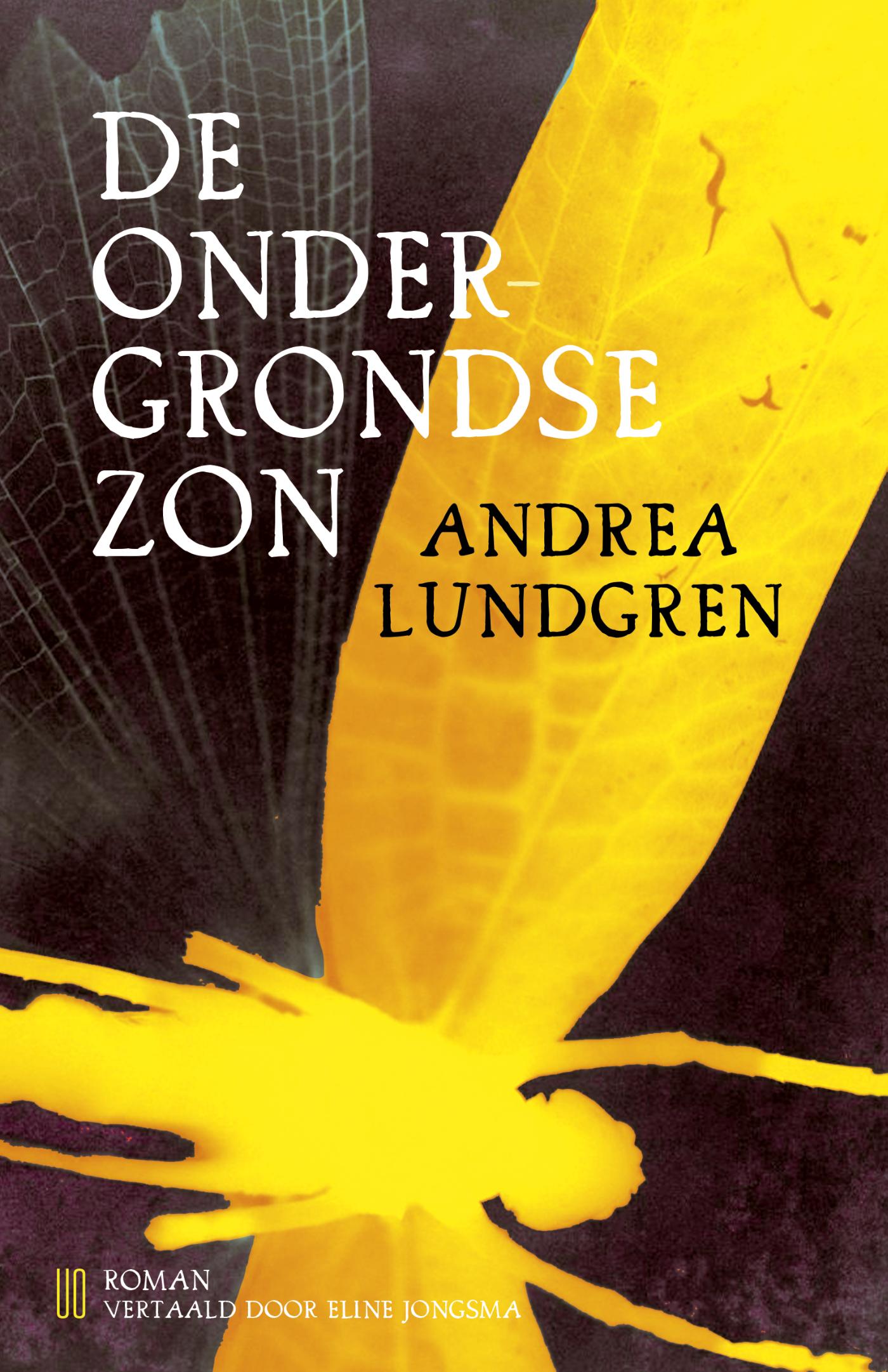 Omslag van De ondergrondse zon