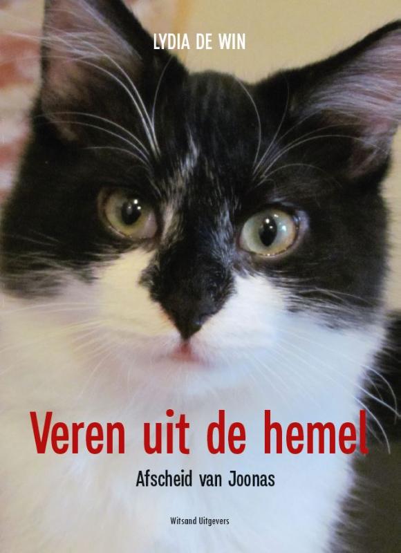 Omslag van Veren uit de hemel