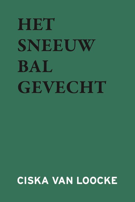Omslag van Het Sneeuwbalgevecht