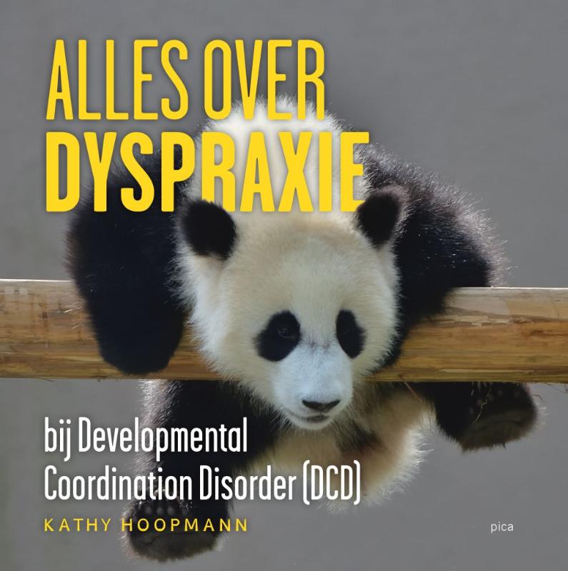 Omslag van Alles over dyspraxie