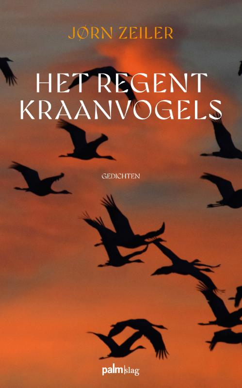Omslag van Het regent kraanvogels