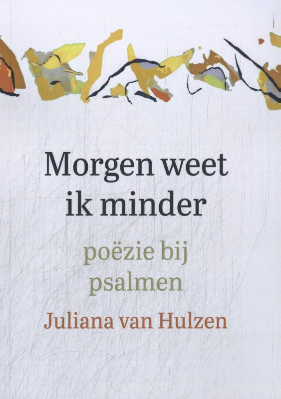 Omslag van Morgen weet ik minder