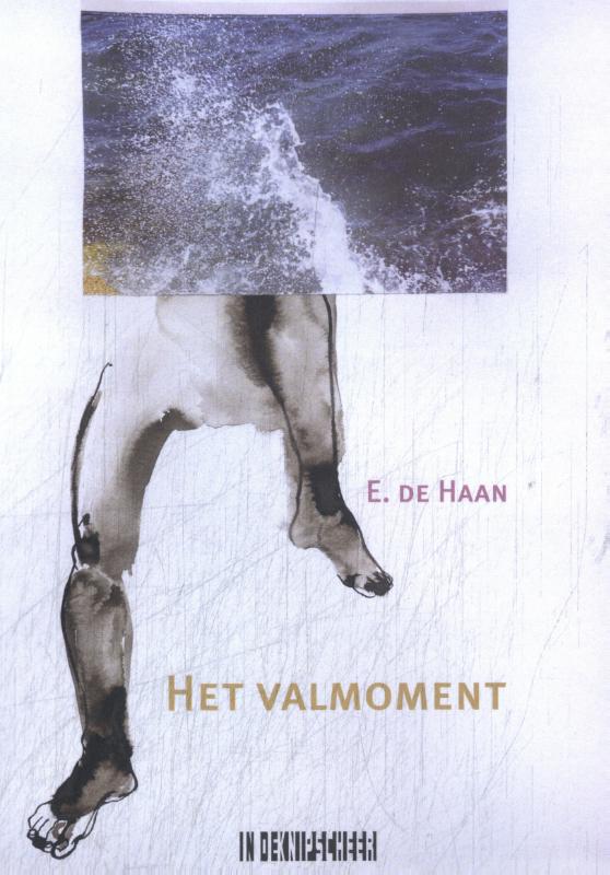Omslag van Het valmoment