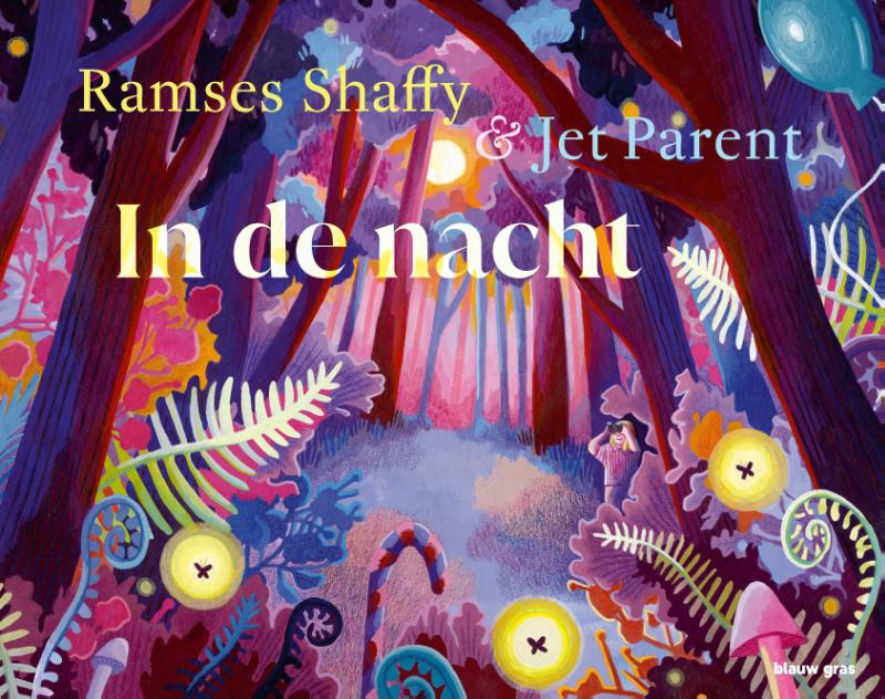 Omslag van In de nacht