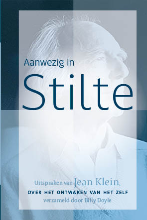 Omslag van Aanwezig in stilte