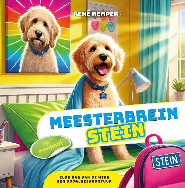 Omslag van Meesterbrein Stein