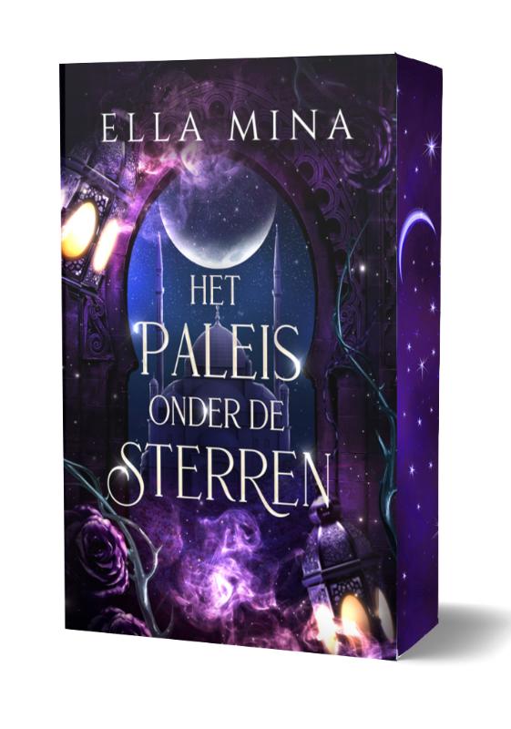 Omslag van Het paleis onder de sterren